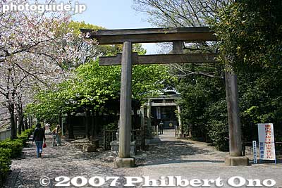 Ebara Shrine. Near Shinagawa bridge and adjacent to cherry-lined Meguro River on the left. 荏原神社
Keywords: tokyo shinagawa-ku tokaido road shinagawa-juku post town stage town shukuba torii