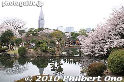 Naka-no-ike Pond (Middle Pond)
Keywords: tokyo shinjuku-ku gyoen garden cherry trees blossoms sakura flowers 