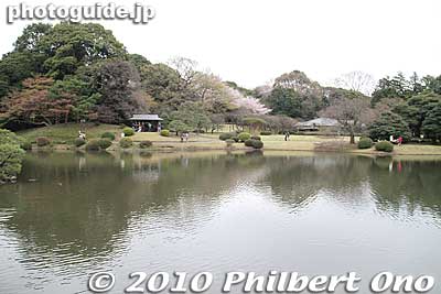 Traditional Japanese Garden at Kami-no-ike Pond. (Upper Pond)
Keywords: tokyo shinjuku-ku gyoen garden cherry trees blossoms sakura flowers 
