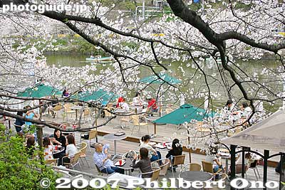 Canal Cafe is right below the cherries. But notice empty tables despite the long line.
Keywords: tokyo shinjuku-ku ward sotobori moat canal cherry blossoms sakura flowers