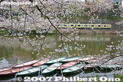 Empty rowboats too.
Keywords: tokyo shinjuku-ku ward sotobori moat canal cherry blossoms sakura flowers rowboats