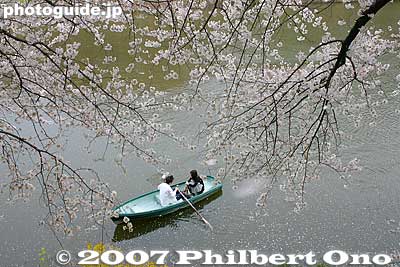 Keywords: tokyo shinjuku-ku ward sotobori moat canal cherry blossoms sakura flowers rowboats