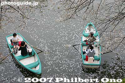Rowboats and low-hanging cherries.
Keywords: tokyo shinjuku-ku ward sotobori moat canal cherry blossoms sakura flowers rowboats
