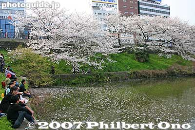 The end of the moat is also a good viewpoint.
Keywords: tokyo shinjuku-ku ward sotobori moat canal cherry blossoms sakura flowers