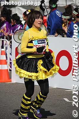 Bee costume
Keywords: tokyo koto ward big sight marathon 2013