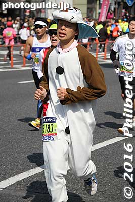 The costumes make for great entertainment.
Keywords: tokyo marathon 2016 cosplayer runners costumes