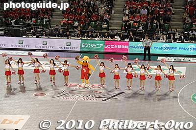 Phoenix Firegirls cheerleaders
Keywords: tokyo koto-ku ward ariake Coliseum bj league pro basketball osaka evessa higashi-mikawa hamamatsu phoenix
