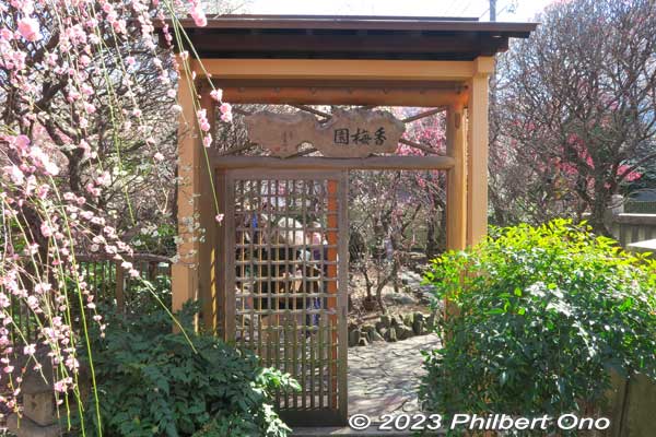 Entrance to the small plum blossom garden named Kobaien. 香梅園
Keywords: tokyo sumida-ku omurai katori jinja shrine plum blossoms ume flowers