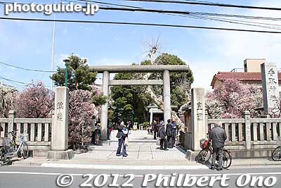 Entrance to Omurai Katori Shrine.
Keywords: tokyo sumida-ku ward omurai katori jinja shrine plum blossoms ume flowers