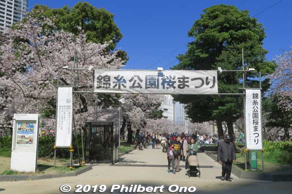 Near JR Kinshicho Station (JR Sobu Line), Kinshi Park is a neighborhood oasis especially during cherry blossom season with 162 cherry blossom trees. 
Keywords: tokyo sumida kinshi park sakura cherry blossoms flowers