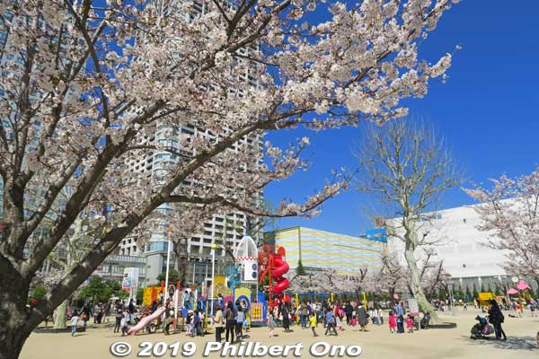 Playground in Kinshi Park.
Keywords: tokyo sumida kinshi park sakura cherry blossoms flowers