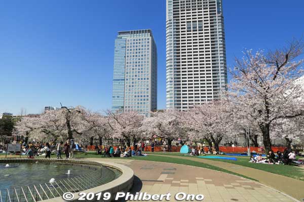 Water fountain fringed with sakura.
Keywords: tokyo sumida kinshi park sakura cherry blossoms flowers