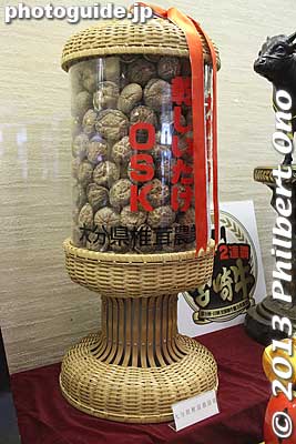 Mushrooms from Oita Prefecture.
Keywords: tokyo sumida-ku ryogoku kokugikan sumo