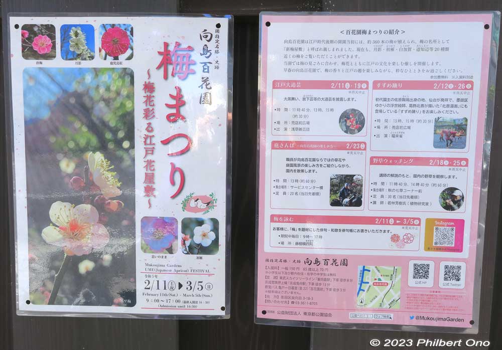 Event schedule for Mukojima Hyakkaen's Ume Matsuri (Plum Blossom Festival) from Feb. 11 to March 5, 2023. A few events and entertainment are held on the weekends during this period.
Keywords: tokyo sumida-ku Mukojima Hyakkaen Garden ume plum blossoms