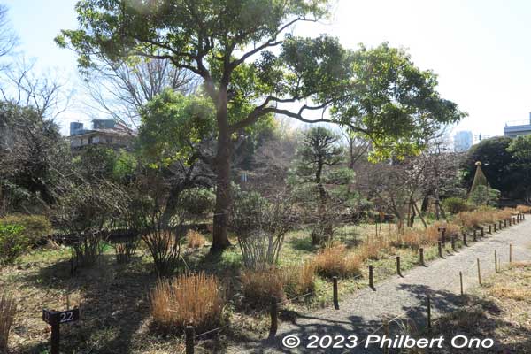 Keywords: tokyo sumida-ku Mukojima Hyakkaen Garden pine tree