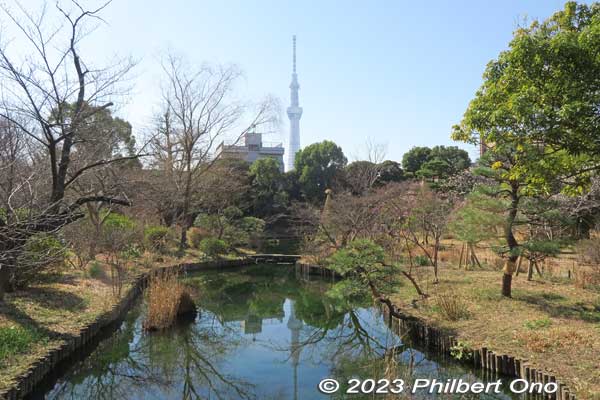 Garden pond is designed as a marsh.
Keywords: tokyo sumida-ku Mukojima Hyakkaen Garden