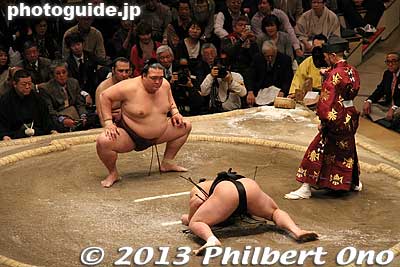 Harumafuji doing his very low stance.
Keywords: tokyo ryogoku kokugikan sumo ozumo rikishi wrestlers japankokugikan