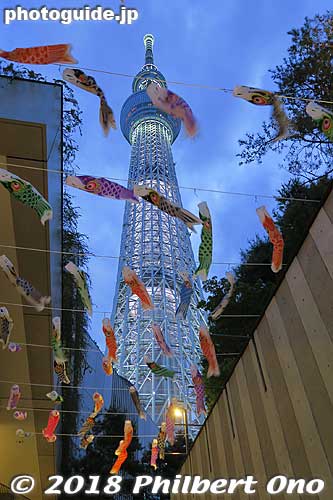 In early May, koinobori carp streamers are displayed for Children's Day at Tokyo Skytree.
Keywords: tokyo sumida-ku sky tree tower carp streamers koinobori