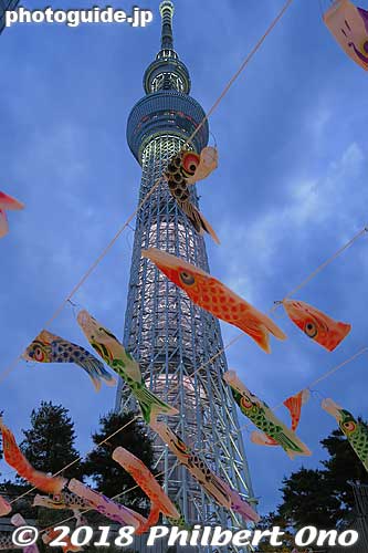 In early May, koinobori carp streamers are displayed for Children's Day at Tokyo Skytree.
Keywords: tokyo sumida-ku sky tree tower carp streamers koinobori
