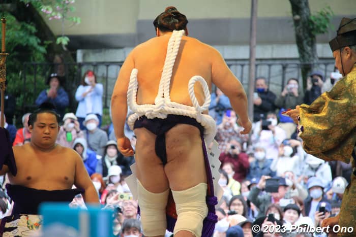 Shiranui-style tsuna rope belt with two loops on the back (Terunofuji). The rope belt has a stiff copper wire inside so the belt can be shaped. into loops.
