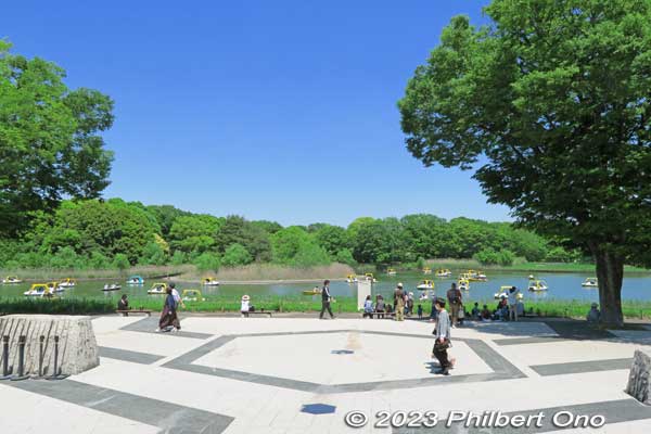 After entering the park through the Nishi-Tachikawa Entrance, you see this scene of the Waterfowl Pond and pedal boats. 水鳥の池
Keywords: tokyo tachikawa showa kinen park pond rowboats