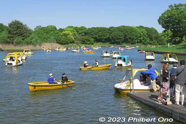 Pedal boats are very popular. This is the boat dock.
Keywords: tokyo tachikawa showa kinen park pond rowboats