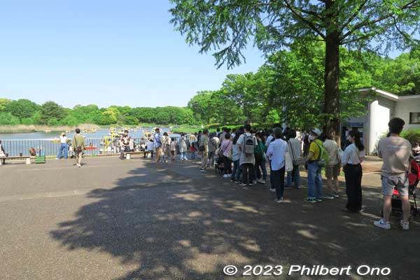 Long line to buy tickets for the pedal boats. This was during Golden Week in early May 2023.
Keywords: tokyo tachikawa showa kinen park pond boats
