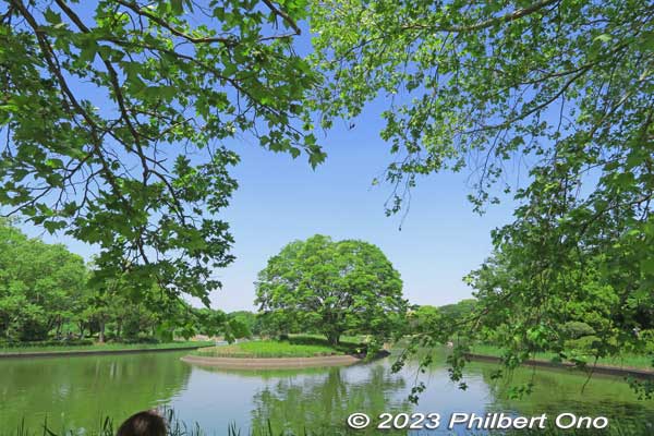 Waterfowl Pond.
Keywords: tokyo tachikawa showa kinen park pond