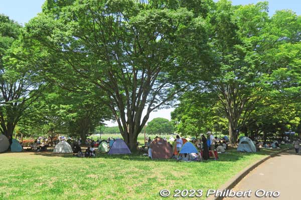 Since it was a sunny day, many people brought their own tents and stayed under the tree shade.
Keywords: tokyo tachikawa showa kinen park