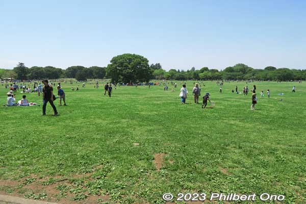 Center of the park is this large lawn where people can play. Called "Minna no Harappa" or Field for All. みんなの原っぱ
Keywords: tokyo tachikawa showa kinen park