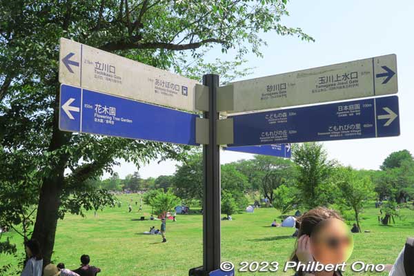 Directional signs in English.
Keywords: tokyo tachikawa showa kinen park trees