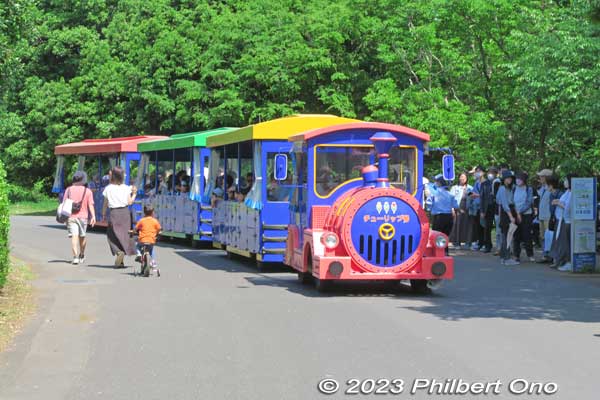 Train-shaped bus to get around the park.
Keywords: tokyo tachikawa showa kinen park