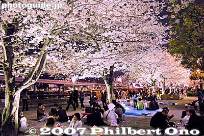 Sumida Park's cherry blossoms at night. Not as crowded as Ueno Park.
Keywords: tokyo taito-ku sumida koen park cherry blossoms sakura matsuri flowers night