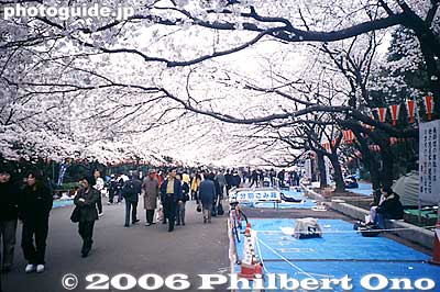 Reserved flower-viewing space
People come early in the morning and stake out a prime picnicking space for their company or group to gather later in the day or in the evening.
Keywords: tokyo taito-ku ueno cherry blossom sakura