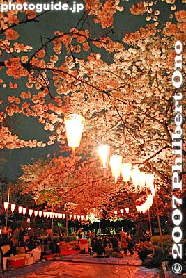 Keywords: tokyo taito-ku ueno park cherry blossom sakura night