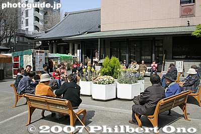 Keywords: tokyo toshima-ku ward sugamo jizo-dori shopping arcade shotengai elderly koganji temple