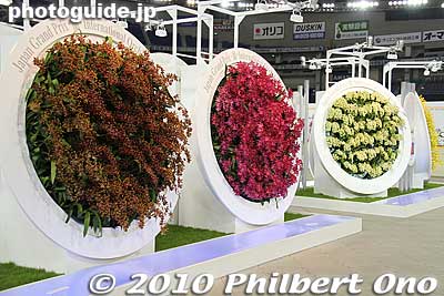 Years Plates to mark the show's 20th anniversary. Each plate has 1,500 to 30,000 flowers.
Keywords: tokyo bunkyo-ku dome Japan Grand Prix International Orchids Festival show flowers 
