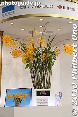 This year's Japan Grand Prix winner.
Keywords: tokyo bunkyo-ku dome Japan Grand Prix International Orchids Festival show flowers 