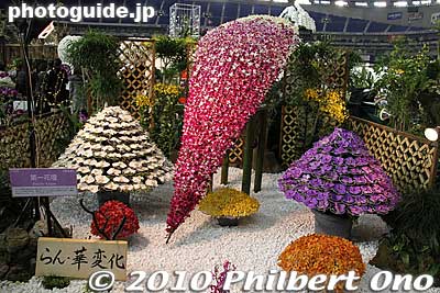 These orchids are shaped like [url=http://photoguide.jp/pix/thumbnails.php?album=628]how chrysanthemums are displayed in autumn.[/url]
Keywords: tokyo bunkyo-ku dome Japan Grand Prix International Orchids Festival show flowers 