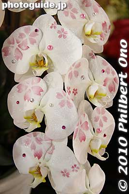 Sakura design on orchids.
Keywords: tokyo bunkyo-ku dome Japan Grand Prix International Orchids Festival show flowers 