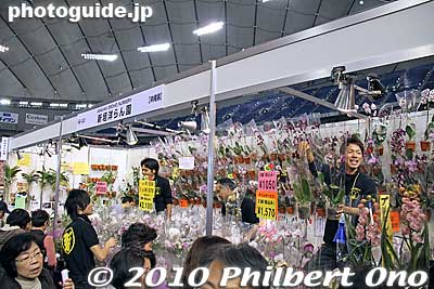 Orchids for sale at numerous flower booths. I was looking for a booth from Hawaii, but couldn't find the word "Hawaii." They always say that they are only from "USA." Next time, include "Hawaii" please.
Keywords: tokyo bunkyo-ku dome Japan Grand Prix International Orchids Festival show flowers 