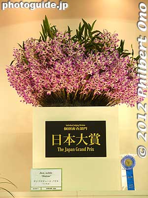 2012 Japan Grand Prix winner: Den. nobile 'Hatsue' by 大塚 初枝
Keywords: tokyo dome orchid show festival japan grand prix flowers