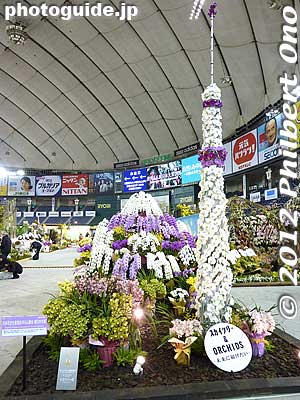 Keywords: tokyo dome orchid show festival japan grand prix flowers
