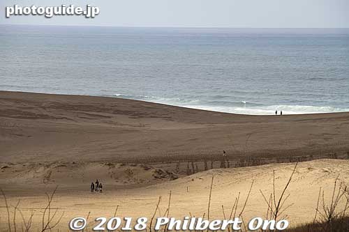 View of the sand dunes from the Sand Museum.
Keywords: tottori Sand Museum