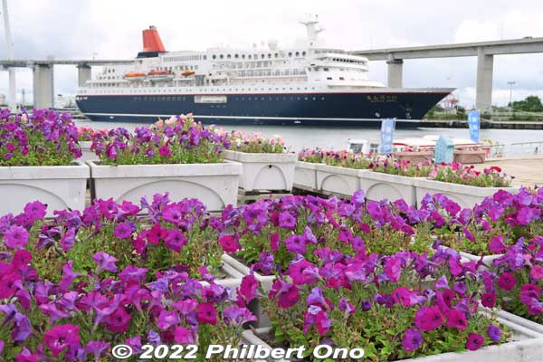 Japanese cruise ship and flowers at Toyama Shinko Port.
Keywords: Toyama Shinko Port imizu kaio kaiwo maru park