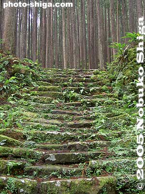 Keywords: wakayama kumano kodo pilgrimage taisha shrine