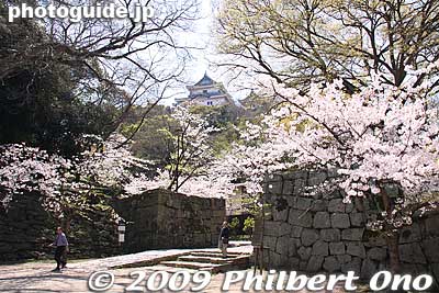 Entrance to Ura-zaka Nobori-guchi sloping path to the tenshukaku castle tower (donjon). 裏坂登り口
Keywords: wakayama castle cherry blossoms sakura flowers 