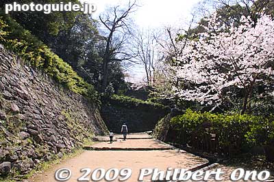 The Ura-zaka sloping path to the castle tower is a mild climb up.
Keywords: wakayama castle cherry blossoms sakura flowers 