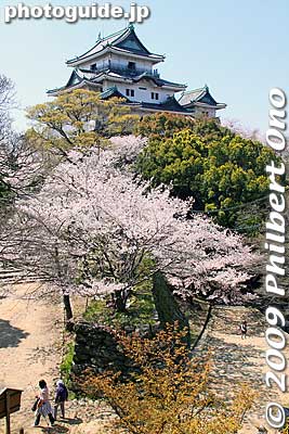 Wakayama Castle tower was struck by lightning in 1846 and destroyed by fire. It was rebuilt in 1850 by special permission from the shogunate which normally did not allow castles to be rebuilt.
Keywords: wakayama castle cherry blossoms sakura flowers 