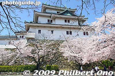 Wakayama Castle tower (donjon).
Keywords: wakayama castle cherry blossoms sakura flowers 